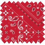 Cotton fabric ex2214 red paisley - PPMC