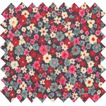 Coated fabric tapis rouge - PPMC
